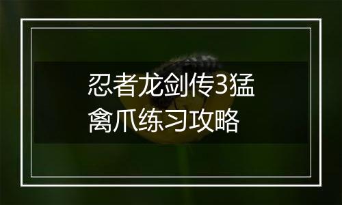 忍者龙剑传3猛禽爪练习攻略