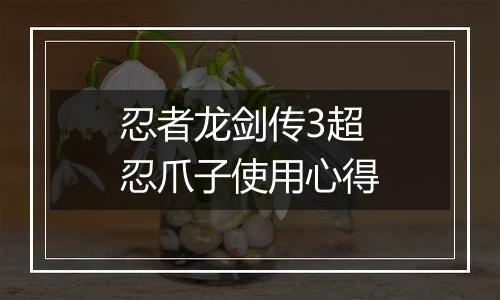 忍者龙剑传3超忍爪子使用心得