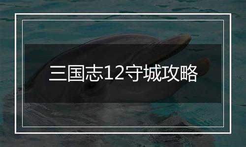 三国志12守城攻略