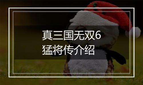 真三国无双6猛将传介绍