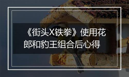 《街头X铁拳》使用花郎和豹王组合后心得