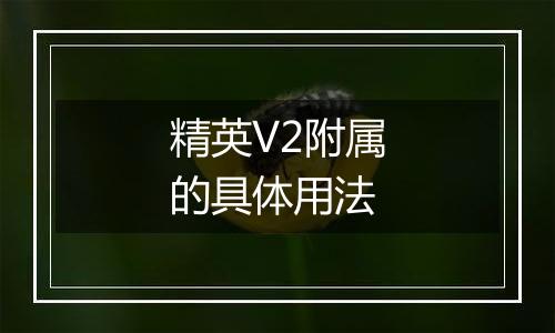 精英V2附属的具体用法