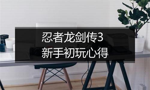 忍者龙剑传3新手初玩心得