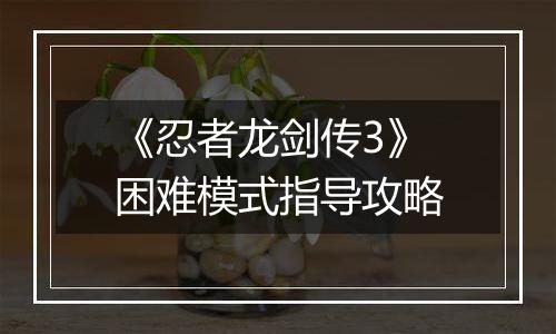 《忍者龙剑传3》困难模式指导攻略