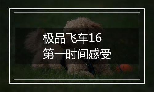 极品飞车16第一时间感受