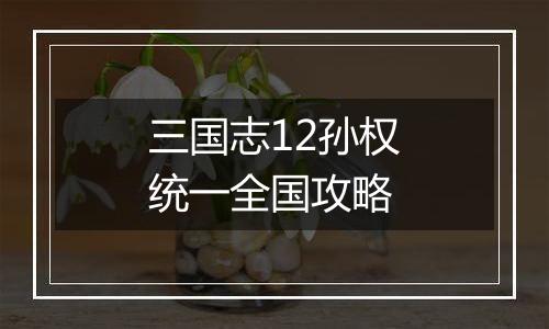 三国志12孙权统一全国攻略