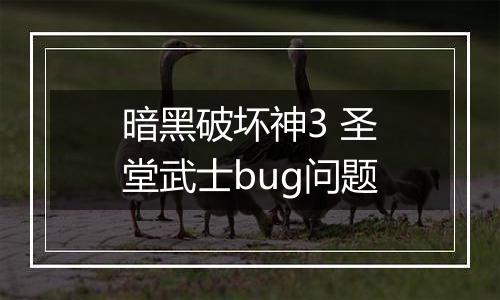 暗黑破坏神3 圣堂武士bug问题