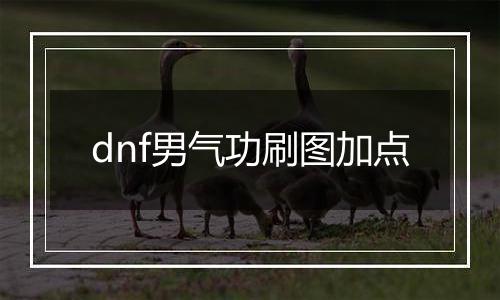 dnf男气功刷图加点
