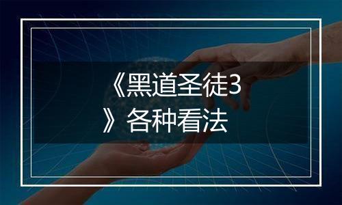 《黑道圣徒3》各种看法