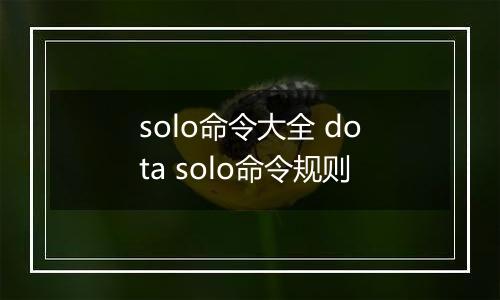 solo命令大全 dota solo命令规则