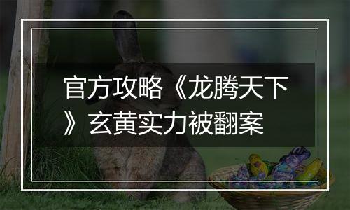 官方攻略《龙腾天下》玄黄实力被翻案
