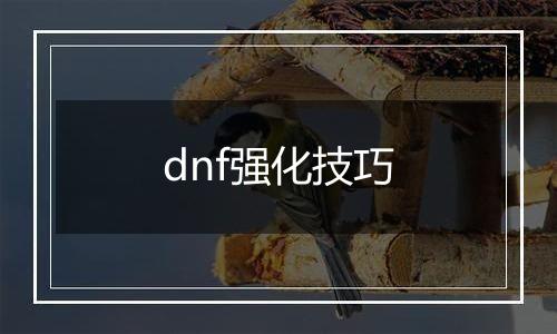 dnf强化技巧
