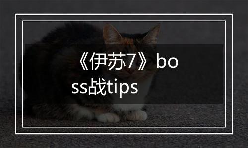 《伊苏7》boss战tips