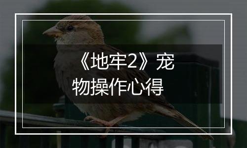 《地牢2》宠物操作心得