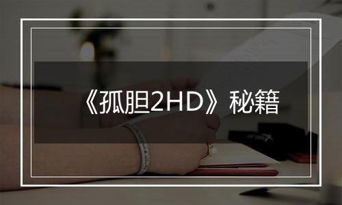 《孤胆2HD》秘籍
