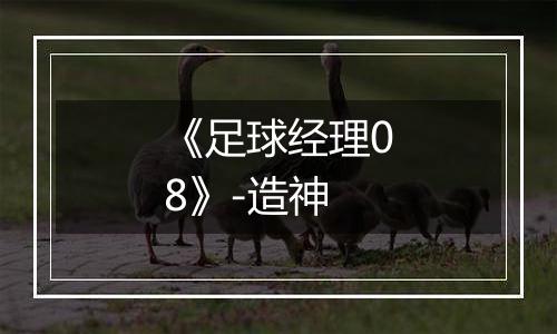 《足球经理08》-造神