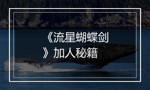 《流星蝴蝶剑》加人秘籍