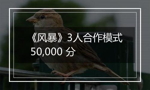 《风暴》3人合作模式 50,000 分