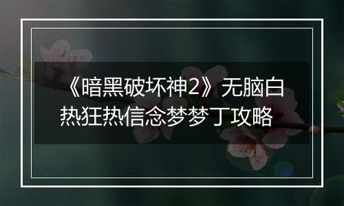 《暗黑破坏神2》无脑白热狂热信念梦梦丁攻略