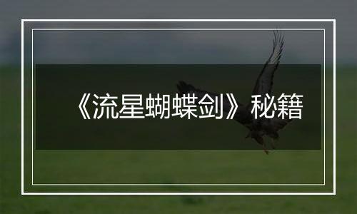 《流星蝴蝶剑》秘籍