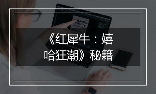 《红犀牛：嬉哈狂潮》秘籍