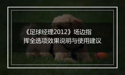 《足球经理2012》场边指挥全选项效果说明与使用建议