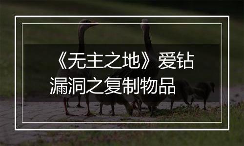 《无主之地》爱钻漏洞之复制物品