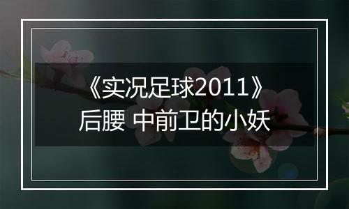 《实况足球2011》后腰 中前卫的小妖