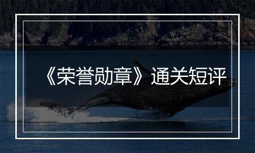 《荣誉勋章》通关短评