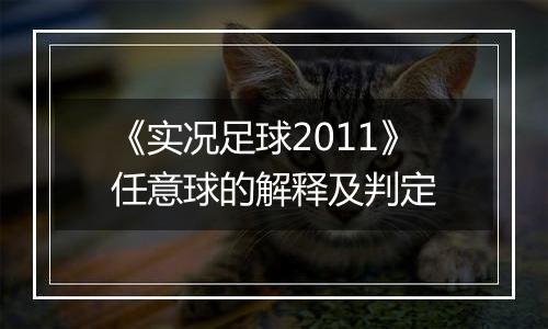 《实况足球2011》任意球的解释及判定