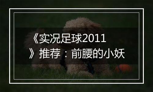 《实况足球2011》推荐：前腰的小妖