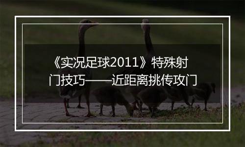 《实况足球2011》特殊射门技巧——近距离挑传攻门