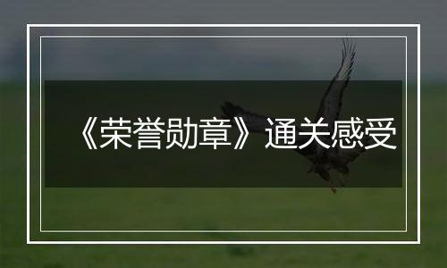 《荣誉勋章》通关感受