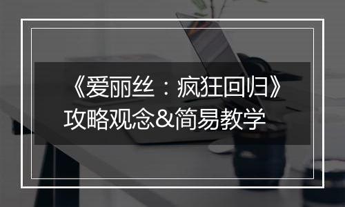 《爱丽丝：疯狂回归》攻略观念&简易教学