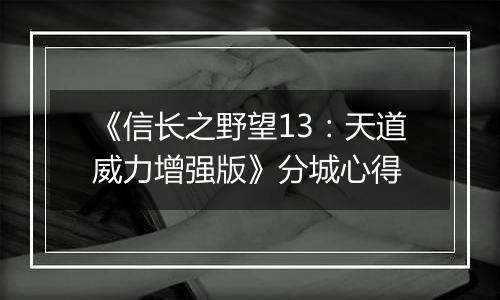《信长之野望13：天道威力增强版》分城心得