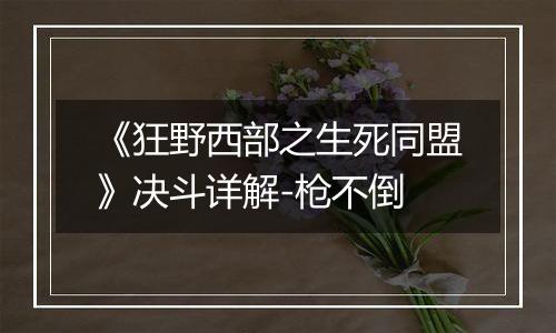 《狂野西部之生死同盟》决斗详解-枪不倒