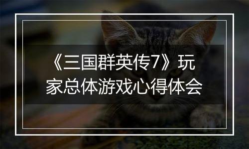 《三国群英传7》玩家总体游戏心得体会