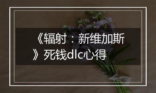 《辐射：新维加斯》死钱dlc心得