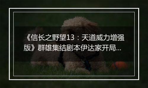 《信长之野望13：天道威力增强版》群雄集结剧本伊达家开局初步心得