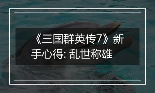 《三国群英传7》新手心得: 乱世称雄