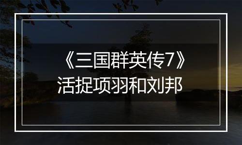 《三国群英传7》活捉项羽和刘邦