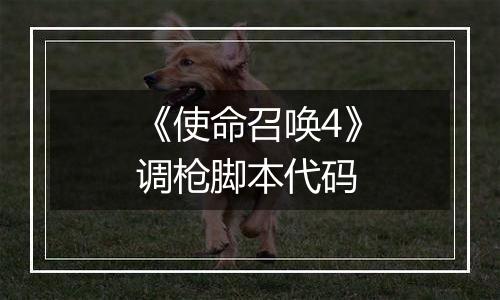 《使命召唤4》调枪脚本代码