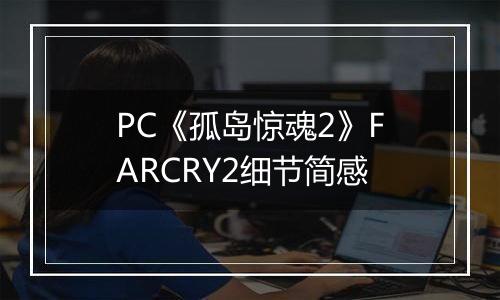 PC《孤岛惊魂2》FARCRY2细节简感