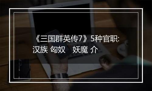 《三国群英传7》5种官职:汉族 匈奴   妖魔 介