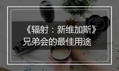 《辐射：新维加斯》兄弟会的最佳用途