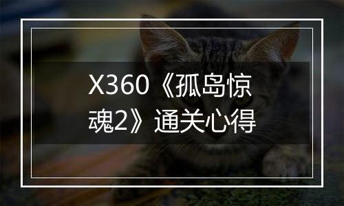X360《孤岛惊魂2》通关心得