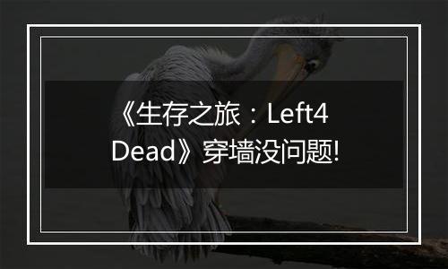《生存之旅：Left4Dead》穿墙没问题!