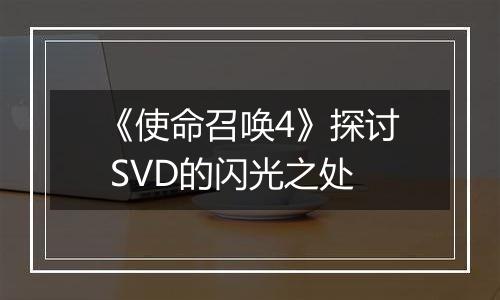 《使命召唤4》探讨 SVD的闪光之处