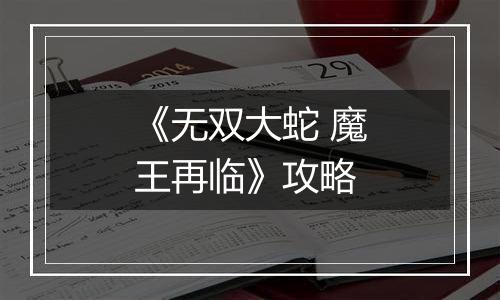 《无双大蛇 魔王再临》攻略