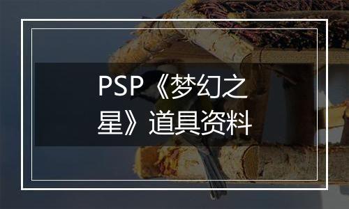 PSP《梦幻之星》道具资料